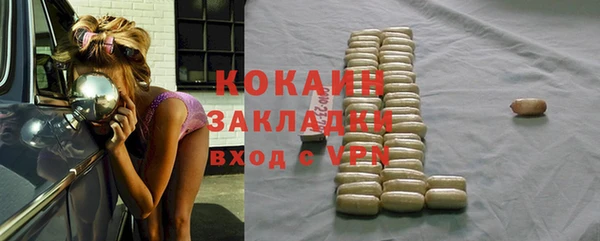 хмурый Осинники