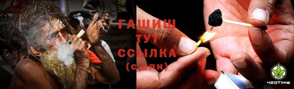 МДПВ Пересвет