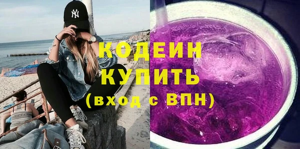хмурый Осинники