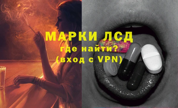 хмурый Осинники