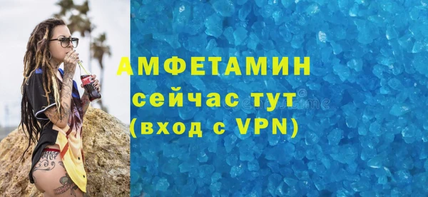 МДПВ Пересвет
