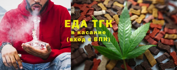 МДПВ Пересвет